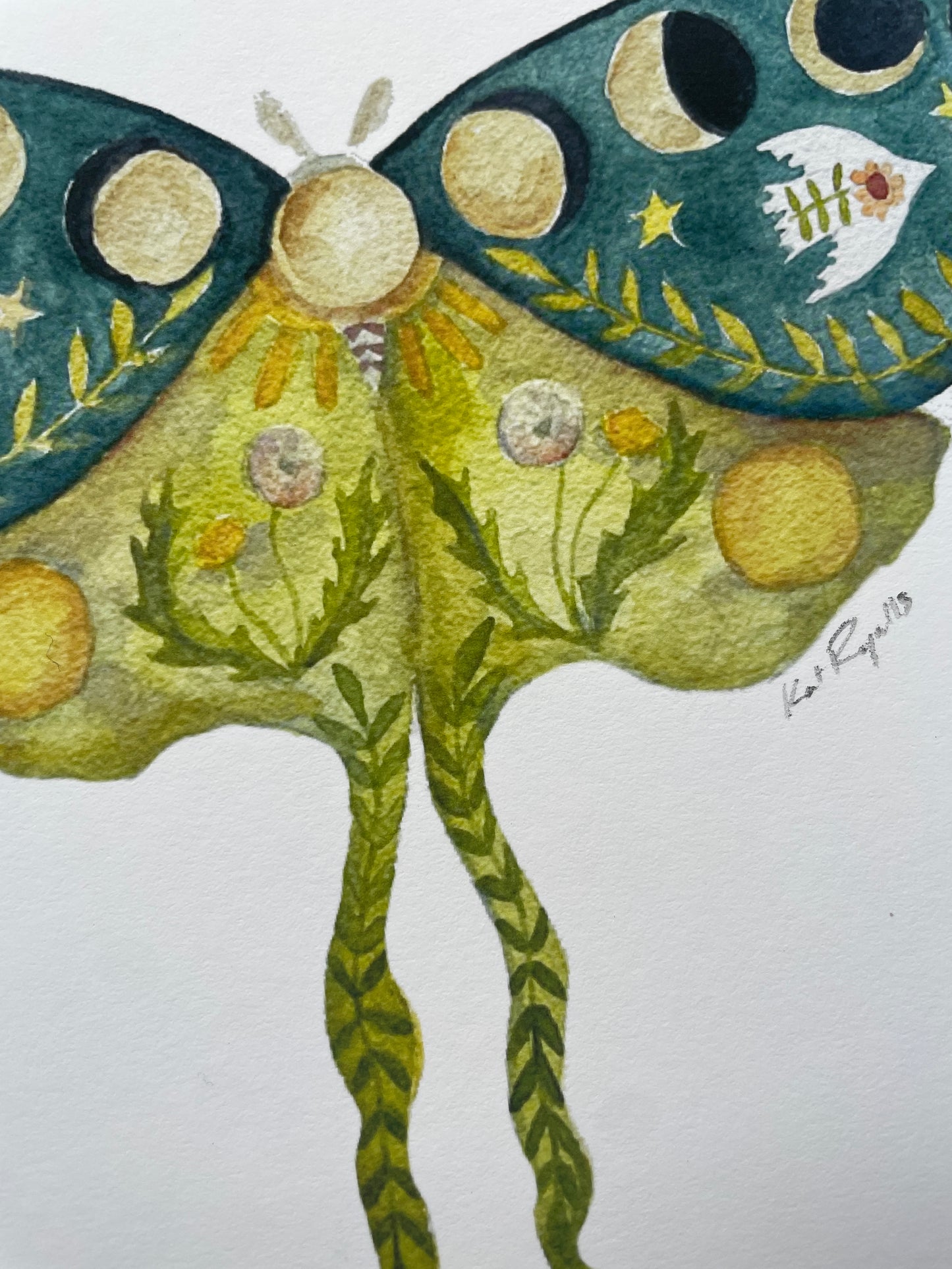 Luna Moth Peace Wings PRINT
