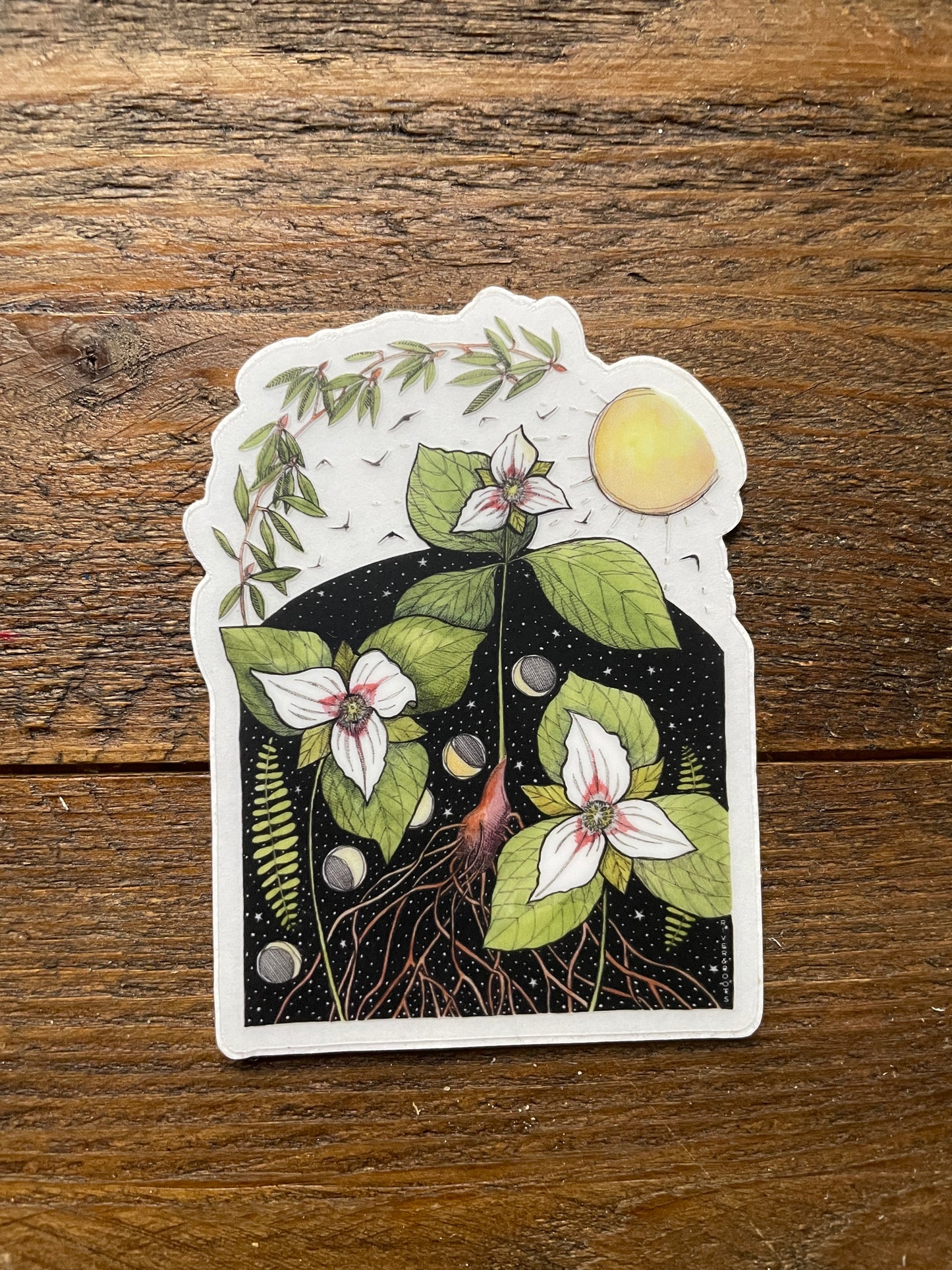 Painted Trillium 3" Vinyl Sticker Phases and Forests