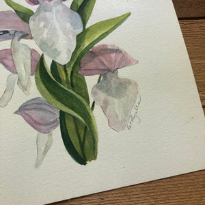Showy Orchis ORIGINAL 9x12"