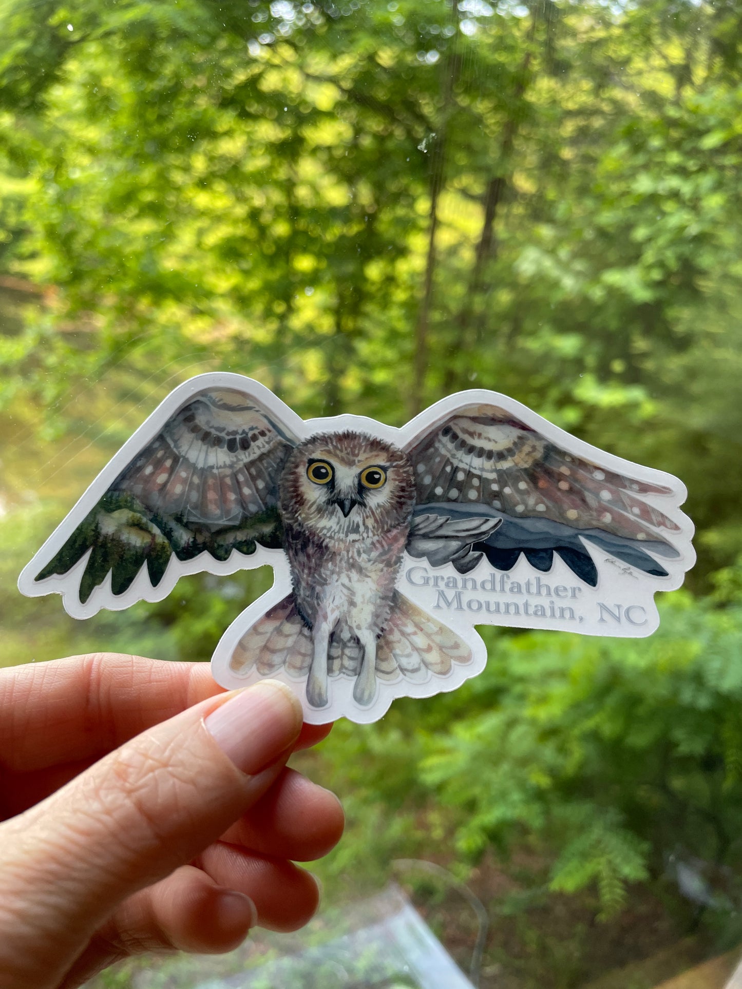 Grandfather Mountain saw-whet owl vinyl decal