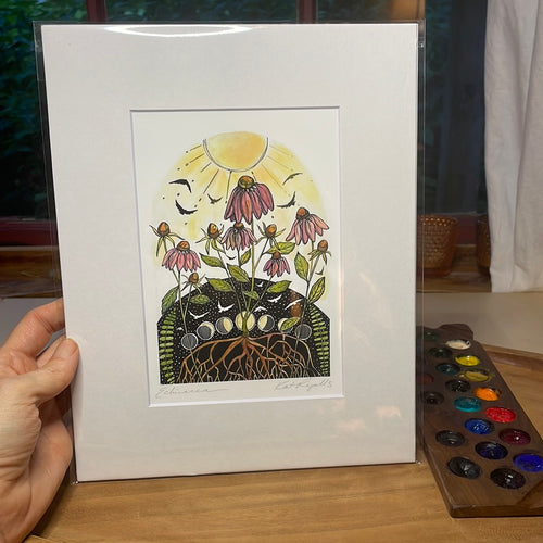 Echinacea PRINT 5x7, 8x10, 11x14”