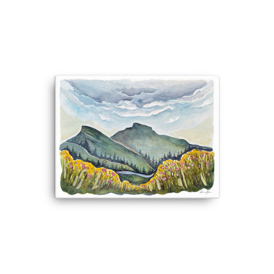 Linville Gorge in Spring CANVAS PRINT  12x16"