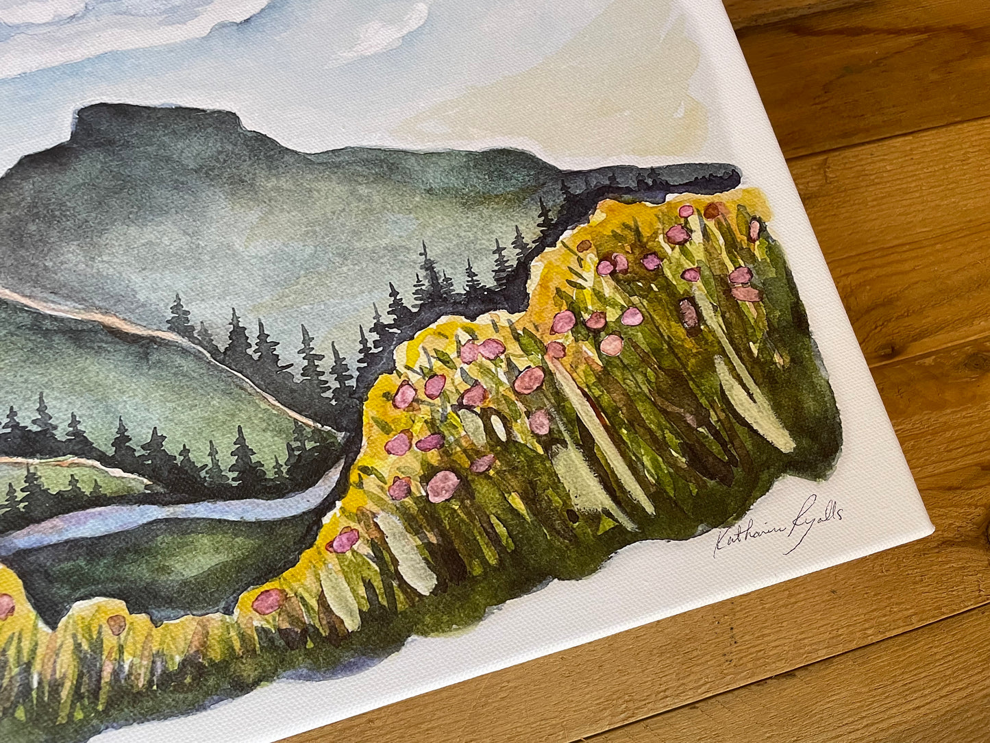 Linville Gorge in Spring CANVAS PRINT  12x16"