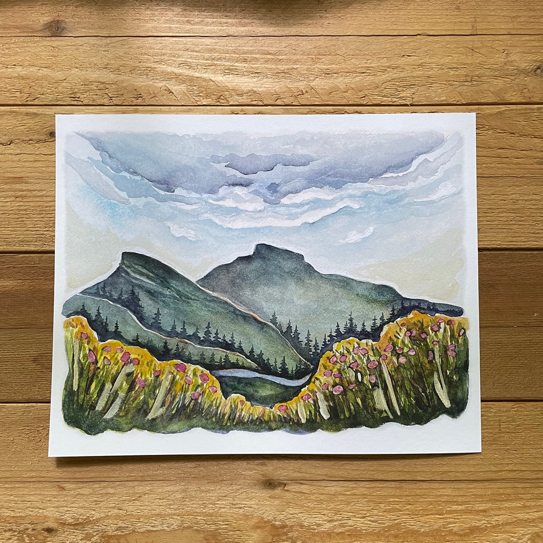 Linville Gorge in Spring PRINTS 5x7, 8x10, 11x14