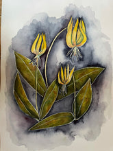 Load image into Gallery viewer, Trout Lily ORIGINAL 9x12&quot;