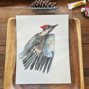 Pileated woodpecker ORIGINAL 8.5 x 11