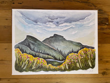 Load image into Gallery viewer, Linville Gorge in Spring CANVAS PRINT  12x16&quot;