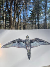 Load image into Gallery viewer, Linville Gorge Peregrine PRINT 5x7, 8x10, 11x14, 13x19”